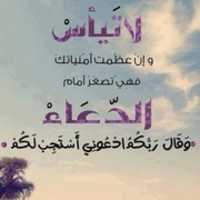 Free download 945304 628544747157081 1002991796 N free photo or picture to be edited with GIMP online image editor