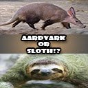 Aardvark or Sloth!?  screen for extension Chrome web store in OffiDocs Chromium