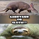 Aardvarken of luiaard!? scherm voor extensie Chrome-webwinkel in OffiDocs Chromium