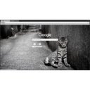 Abandoned cat  screen for extension Chrome web store in OffiDocs Chromium