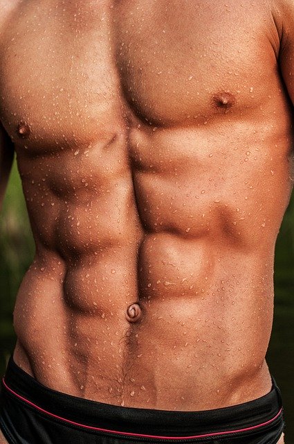 Free download abs man body bodybuilder free picture to be edited with GIMP free online image editor