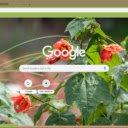 Abutilon  screen for extension Chrome web store in OffiDocs Chromium