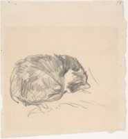 دانلود رایگان عکس یا عکس رایگان A Cat Curled Up, Sleeping برای ویرایش با ویرایشگر تصویر آنلاین GIMP