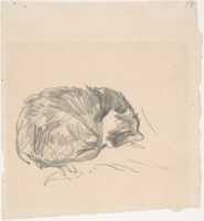 Tải xuống miễn phí A Cat Curled Up, Sleeping ảnh hoặc ảnh miễn phí được chỉnh sửa bằng trình chỉnh sửa ảnh trực tuyến GIMP