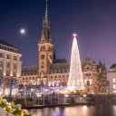 A christmas tree is lit up in front of a building  screen for extension Chrome web store in OffiDocs Chromium