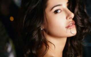 Free download Actress Nargis Fakri free photo or picture to be edited with GIMP online image editor