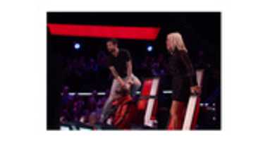 Free download Adam Levine voice free photo or picture to be edited with GIMP online image editor