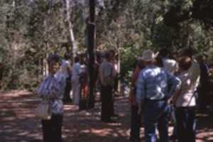 Free download Adams Family Reunion free photo or picture to be edited with GIMP online image editor