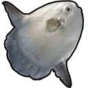 将 Ocean Fish 添加到 FF14 Fish Tracker 屏幕，用于 OffiDocs Chromium 中的扩展 Chrome 网上商店