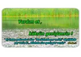 Free download Adil Yardim Et free photo or picture to be edited with GIMP online image editor