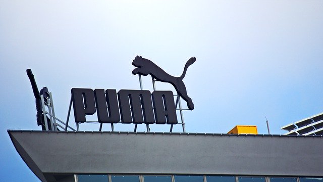 Бесплатно скачать рекламное здание на крыше горного льва бесплатное изображение для редактирования с помощью бесплатного онлайн-редактора изображений GIMP