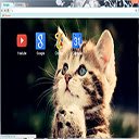 OffiDocs Chromium 中的 AdOrAbLe funNy cat mix 扩展 Chrome 网上商店的屏幕
