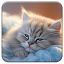 Adorable Kitten  screen for extension Chrome web store in OffiDocs Chromium