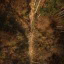 Aerial View of Forest Trail in Styria, Austria  screen for extension Chrome web store in OffiDocs Chromium