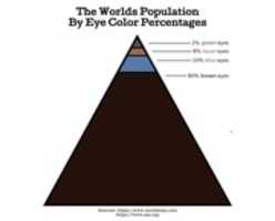 Free download Afbeelding-ogen percentages wereldwijd. free photo or picture to be edited with GIMP online image editor