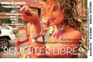 Free download Afiche Bombas De Sementes Psicomagia 4sept 2013 free photo or picture to be edited with GIMP online image editor