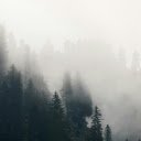 A foggy forest with trees and fog  screen for extension Chrome web store in OffiDocs Chromium