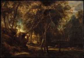 Free download A Forest at Dawn with a Deer Hunt free photo or picture to be edited with GIMP online image editor
