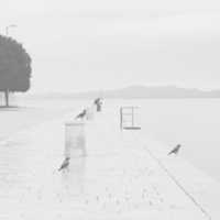 Free download After The Rain Zadar free photo or picture to be edited with GIMP online image editor