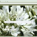 Agapanthus  screen for extension Chrome web store in OffiDocs Chromium