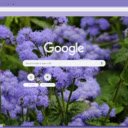 Ageratum  screen for extension Chrome web store in OffiDocs Chromium