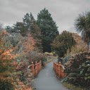 A Gloomy Day at a Park  screen for extension Chrome web store in OffiDocs Chromium
