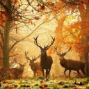 A Graceful Herd of Deer: Nature’s Elegant Wanderers  screen for extension Chrome web store in OffiDocs Chromium