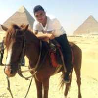 Libreng download Ahmed Abostat Taken 2014 libreng larawan o larawan na ie-edit gamit ang GIMP online image editor