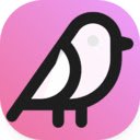 AI Bird  screen for extension Chrome web store in OffiDocs Chromium