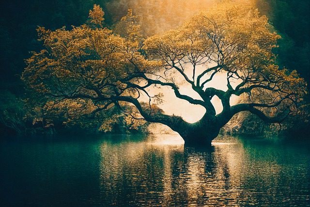 Bezpłatne pobieranie ai wygenerowane drzewo jezioro fantasy darmowe zdjęcie do edycji za pomocą darmowego internetowego edytora obrazów GIMP