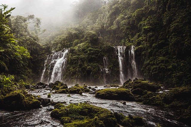 Free download ai generated waterfall river trees free picture to be edited with GIMP free online image editor