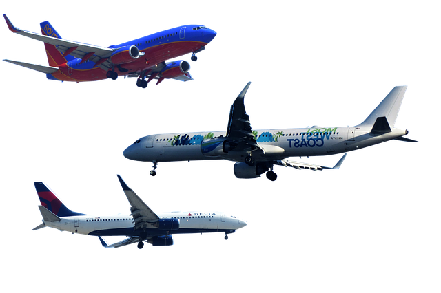 Download grátis Aircraft Transport Travel - foto ou imagem grátis para ser editada com o editor de imagens online GIMP