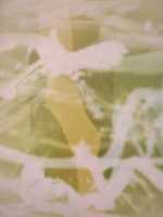 বিনামূল্যে ডাউনলোড করুন Alborear Del Silencio বিনামূল্যের ছবি বা ছবি GIMP অনলাইন ইমেজ এডিটর দিয়ে সম্পাদনা করতে