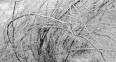 Free download Alcance. free photo or picture to be edited with GIMP online image editor