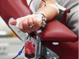 Gratis download Alg Blood Donation Jpg gratis foto of afbeelding om te bewerken met GIMP online afbeeldingseditor