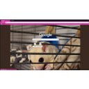 Alice Fuzz Butt  screen for extension Chrome web store in OffiDocs Chromium