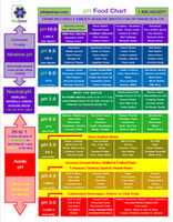 Free download alkaline-ph-food-chart_493539 free photo or picture to be edited with GIMP online image editor