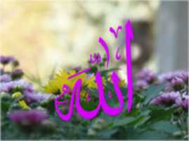 Free download ALLAH T free photo or picture to be edited with GIMP online image editor