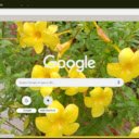 Allamanda  screen for extension Chrome web store in OffiDocs Chromium
