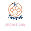 Alle hondenrassen Soorten honden Thanesix.com-scherm voor extensie Chrome-webwinkel in OffiDocs Chromium