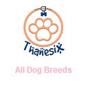 All Dog Breeds Types Of Dogs Thanesix.com  screen for extension Chrome web store in OffiDocs Chromium