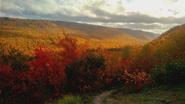 Unduh gratis semua warna lanskap gambar alam musim gugur gratis untuk diedit dengan editor gambar online gratis GIMP