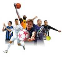 Free download all_sports_2016-2017-01-10-15-59-40-cache free photo or picture to be edited with GIMP online image editor
