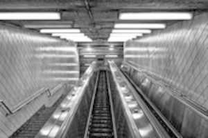 Free download All the Way Up free photo or picture to be edited with GIMP online image editor