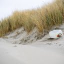 Alluvial sand beach  screen for extension Chrome web store in OffiDocs Chromium