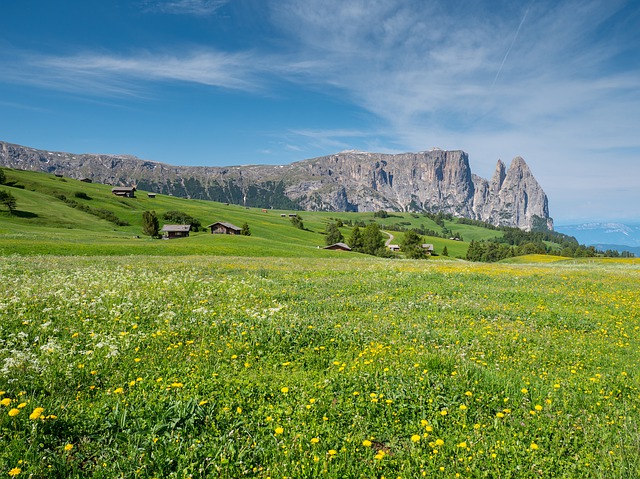 Free download alpine meadow mountains learn free picture to be edited with GIMP free online image editor