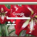 Amaryllis  screen for extension Chrome web store in OffiDocs Chromium