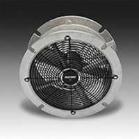 Free download AMAZON SAFETY FAN free photo or picture to be edited with GIMP online image editor