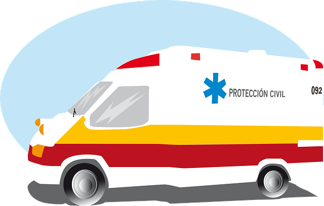 Free download Ambulance Protection Paramedic -  free illustration to be edited with GIMP free online image editor