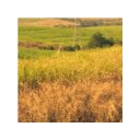 Americana landscape  screen for extension Chrome web store in OffiDocs Chromium